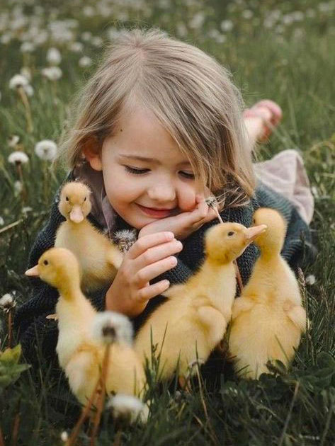 conoscere gli animali